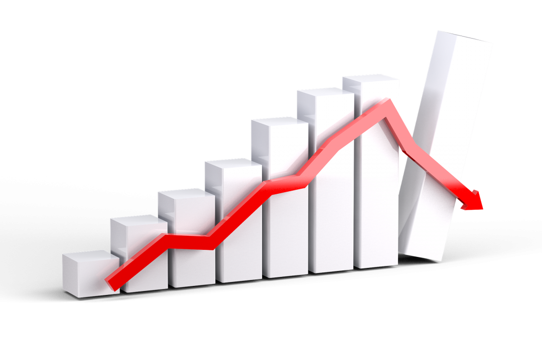 Special Edition on Oxford Webinar on Sustainability Reporting Standards