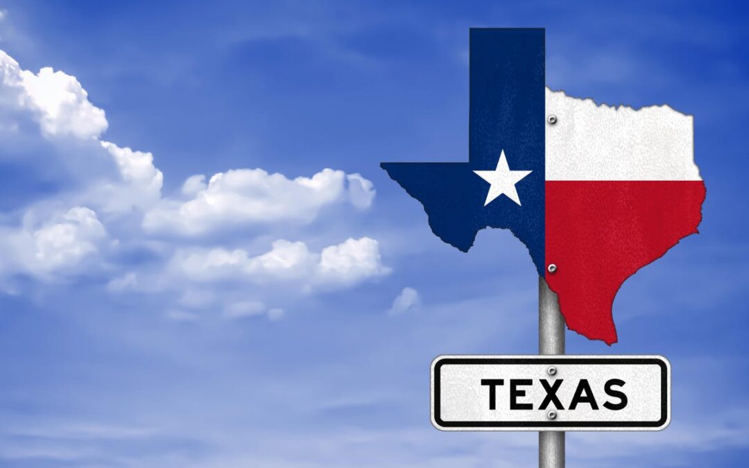 A Linguistic Analysis Of The Texas Section 809 Boycott Provision