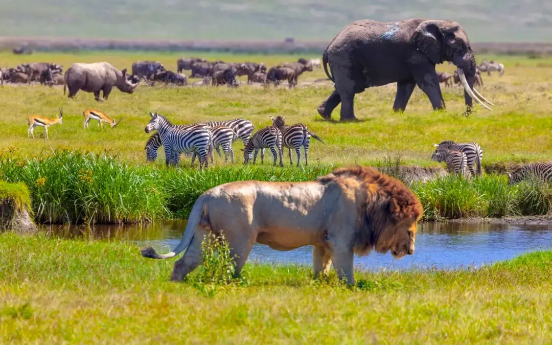 The Balanced And Sensible Narrative Of The Task Force On Nature-Related Financial Disclosures