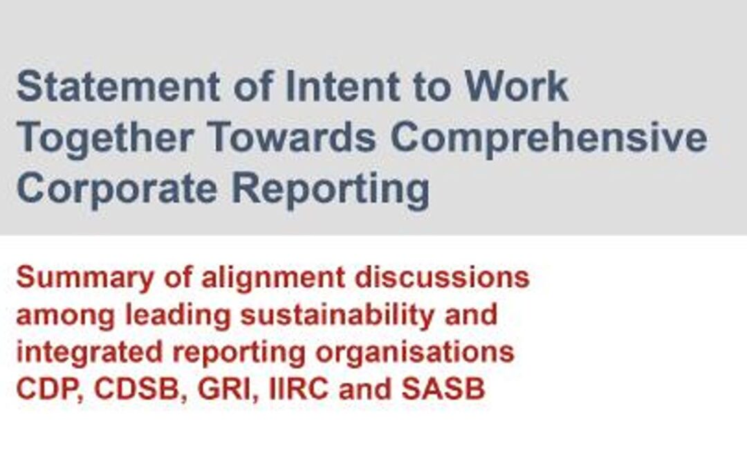 Crunch Time: Global Standard Setters Set The Scene For Comprehensive Corporate Reporting