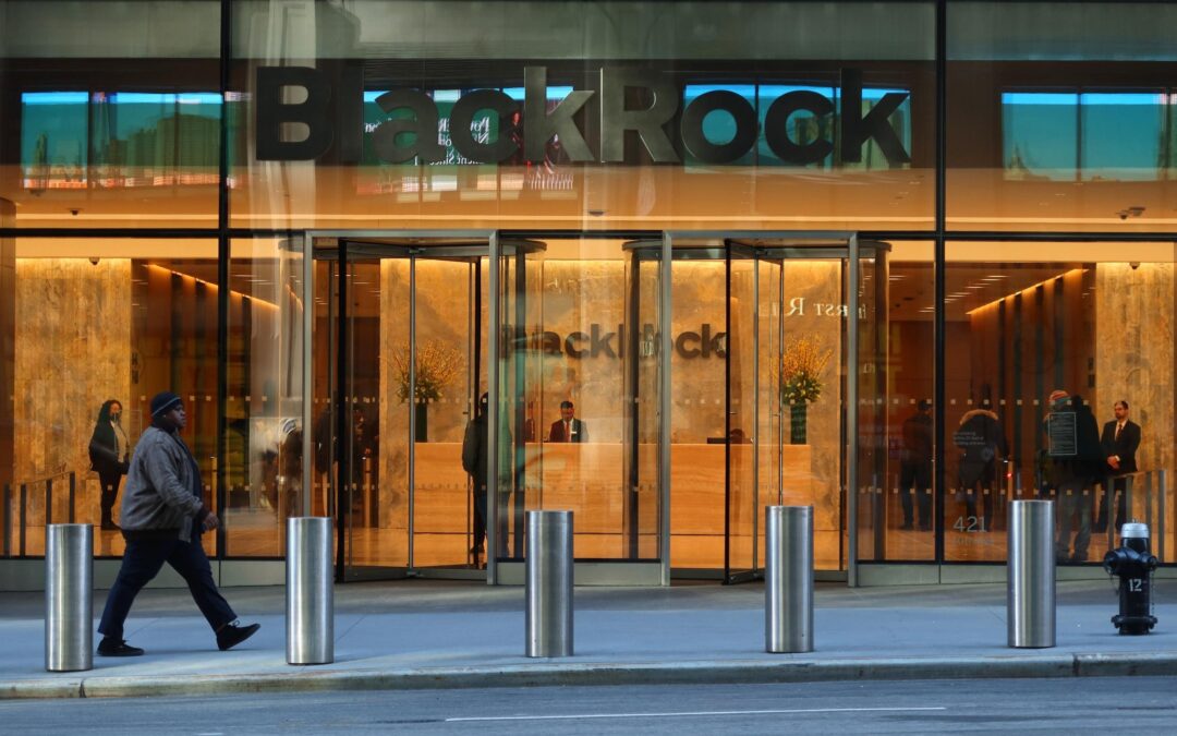 BlackRock Gives Choice To Clients Investing In A Low-Carbon Transition