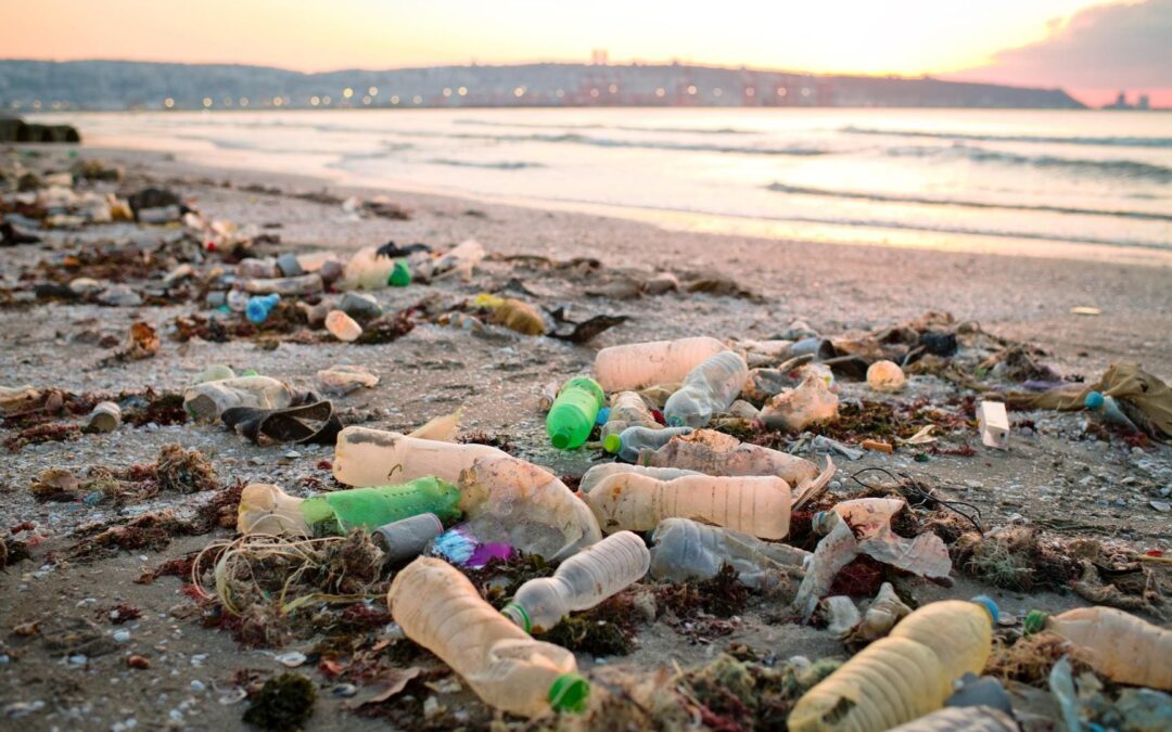 Global Plastics Treaty: Leading CEOs Call For Mandatory Rules