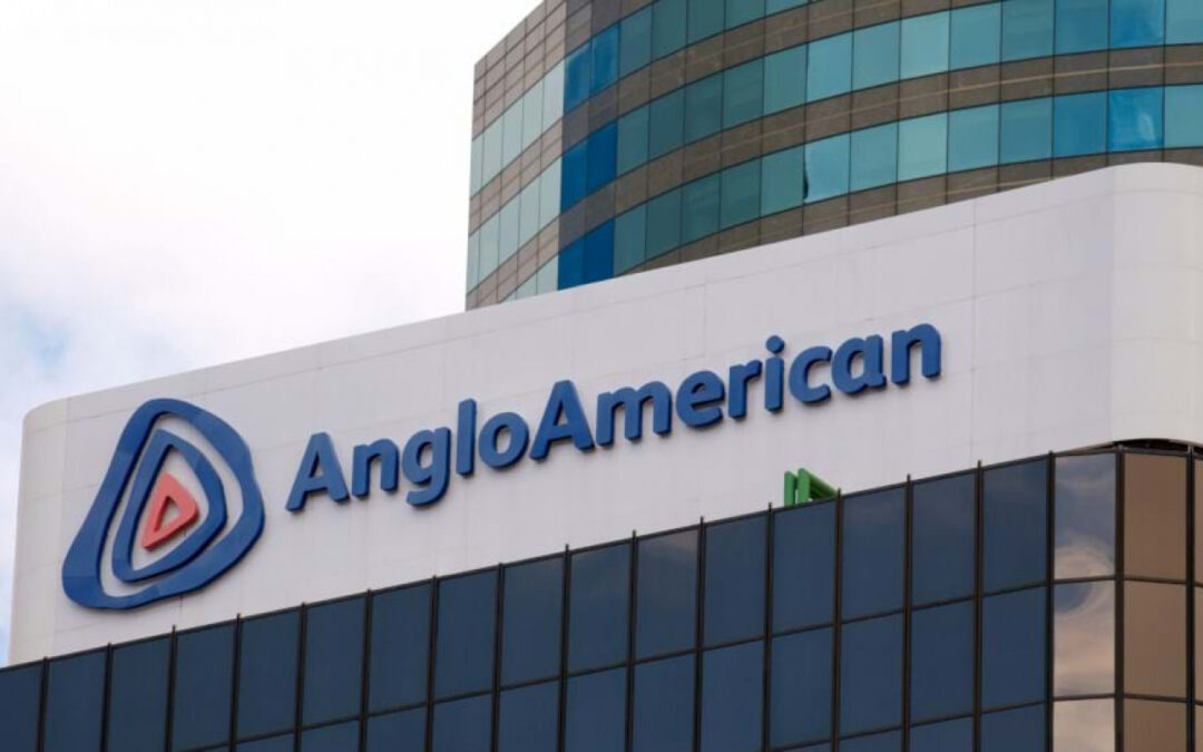 Preliminary Thoughts on Taking Anglo American Private