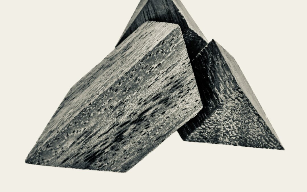 A Climate Plan Engineered to Actually Pass Congress