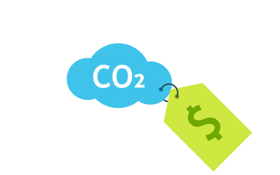 Carbon Pricing Needs Data Standards, Not A Standards War