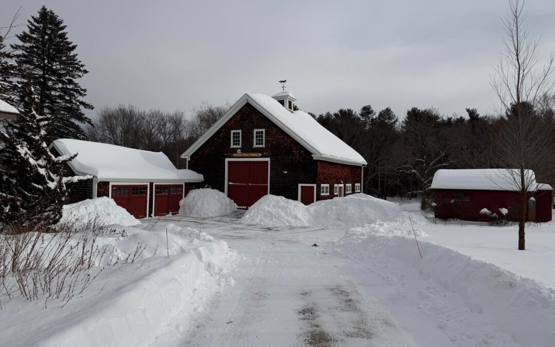 Why Global Warming Can Bring More Heat And More Cold