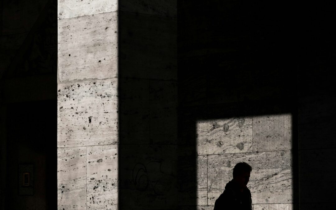 The Shadow Prince Collects