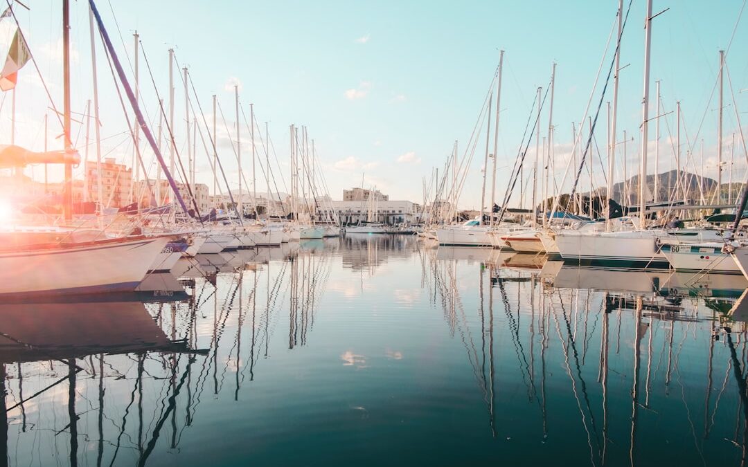 A Safe Harbor for Financially Material Sustainability Disclosures