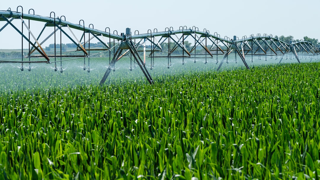 Nebraska Is a Climate Champion